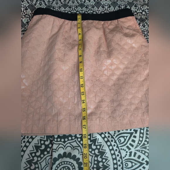 Ann Taylor Loft Pale Pink Embossed Skirt Size 6 - Picture 8 of 14